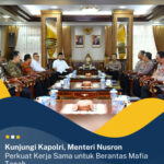 IMG-20241110-WA0004